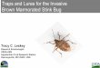 Traps and Lures for the Invasive Brown Marmorated … and Lures for the Invasive Brown Marmorated Stink Bug ... Develop decision support tools to assess ... generated by traps provided