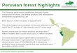 Peruvian forest highlights - Food and Agriculture … · Peruvian forest highlights ... Transporte y Trans Secundaria $78,000 $78,000 $65,400 $12,000 $0 $0 $710,400 Comercialización