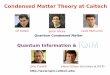 Condensed Matter Theory at Caltechhitlin/GRAD_INFO_DAY_2014/Motrunich.pdf · Condensed Matter Theory at Caltech ... What underlying theory explains the observed elementary particles
