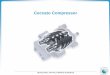 Ceccato Compressor - Pneumax · Ceccato Compressor. INDUSTRIAL AIR MULTIBRAND BUSINESS Screw element Introduction C40 C55 C77 C106. INDUSTRIAL AIR MULTIBRAND BUSINESS Ranges