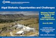 Algal Biofuels: Opportunities and Challenges ·  · 2009-08-07Mention Algae. National Renewable ... Biofuel Challenges: Energy Density. ... engineering will be