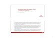 Francisco Roman - FINAL - Vodafone · voice and light data solutions Phase 1 –FMS vai tariffs and promotions Phase 3 – Complete FMS ... - Tailored migrants offerings - Targeted