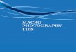macro Photography Tips - Carleton University · macro photography tips j cameras/lenses will indicate how close they can be to the subject and still focus. j the ability of a camera