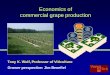 Economics of commercial grape production -   of commercial grape production Tony K. Wolf, Professor of Viticulture ... Spraying XXX XXX XXX XXX XXX XXX XXX XXX XXX Mowing