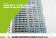 BANKING AMBIT TREASURY MANAGEMENT - Global … · BANKING AMBIT TREASURY MANAGEMENT ... attribution by way of funds transfer pricing ... its assets and liabilities as well as its