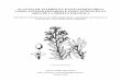PLANTAS DE INTERÉS EN ETNOVETERINARINA COMO ...1]...pdf · riqueza de antiparasitarios utilizados en Etnoveterinaria como punto de partida para futuros estudios y ... (2009) La Mancha