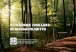 Tickborne Diseases in MassachuseTTs Diseases in MassachuseTTs ... Images not to scale Adult female dog tick (CDC photo) Images not to scale TICK ID Additional Resources Rocky Mountain