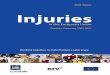 2009-Report Injuries - European Commissionec.europa.eu/health/sites/health/files/healthy_environments/docs/... · 2009-Report Injuries in the European Union ... adolescents, older