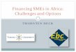 Financing SMEs in Africa: Challenges and Options · SME Finance and Growth Financial deepening allows more entrepreneurship, firm dynamism and innovation ... New providers Government’s