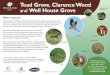 Toad Grove Clarence Wood and Well House Grove · What is special? Toad Grove, Clarence Wood and Well House Grove are all broadleaved woods planted in 2013 that cover 68 hectares of