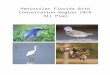 Peninsular Florida Bird Conservation Region (BCR …acjv.org/documents/BCR_31_10_17.docx · Web viewThe Peninsular Florida Bird Conservation Region (BCR 31) Plan presents a coordinated