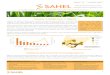 assava: A Staple rop in Nigeria ) ) - sahelcp.comsahelcp.com/wp-content/uploads/2016/12/Sahel... · Figure 2: Areas of cassava production in Nigeria Source: Sahel Capital 2014 Figure