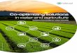Co-optimizing solutions in water and agriculturedocs.wbcsd.org/2017/08/Co-optimizing_solutions_water.pdf4 Co-optimizing solutions in water and agriculture Around the world, water deficiency