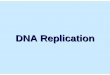 DNA Replication - Citrus College Replication • Origins of replication 1. Replication Forks: hundreds of Y-shaped regions of replicating DNA molecules ... 5/18/2009 1:37:40 PM 