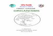 FIRST GRADE ORGANISMS - msnucleus.org · OVERVIEW OF FIRST GRADE ORGANISMS WEEK 1. ... vertebrates and invertebrates. Children are usually familiar with vertebrates including mammals,