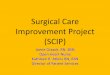 Surgical Care Improvement Project (SCIP) - Illinois State Care Improvement Project (SCIP) Jamie Graack, RN, BSN Open Heart Nurse Kathleen R. Atkins RN, BSN Director of Patient Services