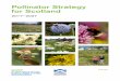 Pollinator Strategy for Scotland - Home | Scottish Natural ... 1 Why do we need a pollinator strategy? Pollinators are an integral part of our biodiversity. If we lose the pollination