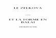 LE ZELKOVA 2 - ffbonsai.com · 1 – introduction 2 – classement 3 – le zelkova: fiche generale 4 – parasites et maladies 5 – la forme en balai hokidachi