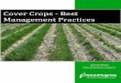 Cover Crops ‐ Best Management Practices€¦ · 2 | Cover Crops – Best Management Practices It Begins With You: Incorporating Cover Crops Cover crops are grasses, legumes or small
