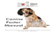 Canine Foster Manual - Ottawa Humane Society · Mission statement ... Special medical needs Pregnant and/or nursing mothers with pups ... provided in the foster manual. 8
