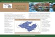 Saginaw Bay Greenways Collaborative, Michigan for conservation and recreation in Saginaw, Bay, ... Bay County Department of ... Saginaw Basin Land Conservancy, Bay Area Community Foundation,