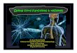 Spinal cord functions & reflexes - KSUMSCksumsc.com/download_center/2nd/1) Neuropsychiatry... · Dept. of Physiology College of Medicine & KKUH King Saud University Spinal cord functions