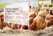 Animal Health & Nutrition Health & Nutrition An alliance for growth Helle Warrer Poulsen, Vice President Animal Health & Nutrition, Novozymes Signe Munk, Vice President R&D ... This