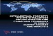 INTELLECTUAL PROPERTY RIGHTS CHALLENGES FACING FOREIGN heading 20 intellectual property rights challenges facing foreign and canadian companies in china: survey results and analysis