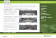 Technical Services Bulletin · Technical Services Bulletin Pa rtner of ... CAMBIO LATO / LATO CAMBIO – Gearbox side On clutch kits produced in Italy or for vehicles manufactured