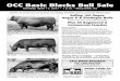 OCC Basic Blacks Bull Sale - Ohlde Cattle Companyohldecattle.com/files/Ohlde-Sire-Directory-2017.pdf · business but the basic cow does not have to shoulder all of those ... O C C