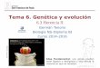 Tema 6. Genética y evolución - dpbiologia.weebly.comdpbiologia.weebly.com/uploads/2/1/5/5/21553524/gtp_t6.genética_y...APLICACIÓN: Cruces dihíbridos En un cruce dihíbrido se