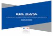 Big Data - Cap Digital · 4 Les Challenges Big Data en dix questions Qu’est-ce Qu’un challenge Big Data ? Un « challenge Big Data» est un concours à l’attention des startups,