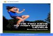 The Two Keys To High Energy Levels · The Two Keys To High Energy Levels – ... this is comprised of the basic stuff—optimal nutrition, ... More energy at the cellular level means