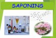 SAPONINS - جامعة نزوى · Saponins containing drugs from medicinal plants and their medical uses 21-Jan-18 2 Learning Objectives . 21-Jan-18 3 ... Saponin Glycosides