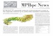MPIbpc News mai06zwei - Startseite 8-9 Umzug Abt. Hell 10 ... Nucleocytoplasmic transport in cells An important cellular process, ... transfer in both ways.Authors: Ulrich Zachariae