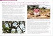 Beekeeping, poverty alleviation and forest … Development Journal 84 Beekeeping, poverty alleviation and forest conservation in Imadiala, Madagascar Raoelinarivo Yvan Russell, FFV,