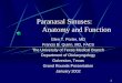 Paranasal Sinuses: Anatomy and Function - Welcome to … · Paranasal Sinuses: Anatomy and Function ... Jack B., et al, Anatomy of the Paranasal Sinuses, Theime, ... Nose and Paranasal