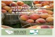 2015 MIDLANDS 2015 MIDLANDS LOCAL … 2015 MIDLANDS 2015 MIDLANDS LOCAL FOODLOCAL FOOD & FARM GUIDE& FARM GUIDE Midlands Food Alliance: A Project of Sustainable Midlands Sustainable