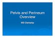 Pelvis and Perineum Overview - Creighton University · Pelvis and Perineum Overview M3 Clerkship. Female Pelvis Measurements - Anterior View . Bones and Ligaments of Pelvis ... Pelvic