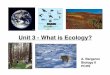 Unit 3 - What is Ecology? - Parkway Schools 3 Notes.pdf · Unit 3 - What is Ecology? A. Bergeron Biology II ... Ecological Pyramids Pyramid of Numbers Shows the relative number of