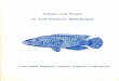Tokelau and Tuvalu An Atoll Fisheries Bibliography · Tokelau and Tuvalu An Atoll Fisheries Bibliography ... a "user-friendly" bibliographic style was ... Statistical Report No. 1984-2,