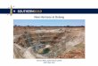 SOUTHERNGOLD - The AusIMM€¦ · SOUTHERNGOLD Cannon Mine, Early February 2016 ASX Ticker: SAU New Horizons at Bulong