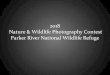 2018 Nature & Wildlife Photography Contest Parker River ... · 2018 Nature & Wildlife Photography Contest Parker River National Wildlife Refuge