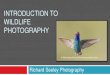 INTRODUCTION TO WILDLIFE PHOTOGRAPHY - … · Agenda Objective Master basics on Wildlife Photography Improve ability to capture impressive images of animals Presentation on Wildlife