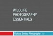WILDLIFE PHOTOGRAPHY ESSENTIALS -   Wildlife? One of the most difficult areas of photography Wildlife are undependable â€“ they move Safety concerns when approaching Tend to