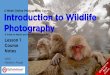 4 Week Online Photography Course Introduction to Wildlife ...to... · Introduction to Wildlife Photography With Heather Angel A Guide to Nature and Wildlife Photography Lesson 1 Course