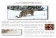 Jan 2015 Winter Wildlife Photography Jan Reeder... · PDF file2015 Winter Wildlife Photography Workshop January 16 – 19, 2015 Presented by Kathleen Reeder Wildlife Photography Workshop