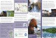 Loddon Nature Reserve - Twyford Together Leaflet 2.pdf · A321 B3030 M Start/End W al t h a m R o a d c B 3 S t a n l a k e L a n e R u s c o m b e L a n e B r o a d H i n t o n Br