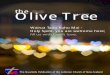 Olive Tree the - SquarespaceOlive+Tree+May+2015.pdf · Olive Tree MAY 2015 The Quarterly Publication of the Lutheran Church of New Zealand Wairua Tapu Kuhu Mai - ... 6 The Olive Tree