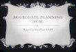 AGGREGATE PLANNING (SCM) - Bijay Lal Pradhan, Ph.D ... · AGGREGATE PRODUCTION PLANNING REQUIRES Logical overall unit for measuring sales and outputs Forecast of demand for intermediate